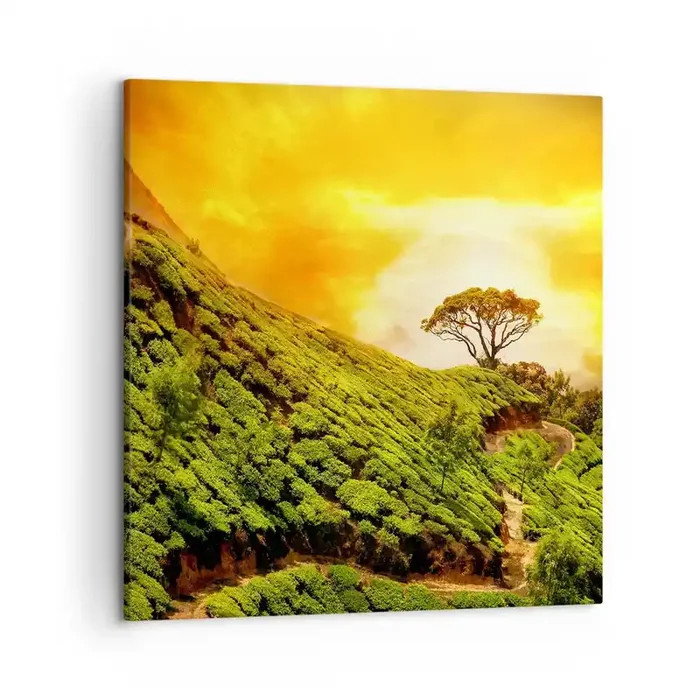 Cuadro sobre lienzo – Impresión de Imagen – Por un camino sinuoso, por una verde pendiente – 50×50 cm