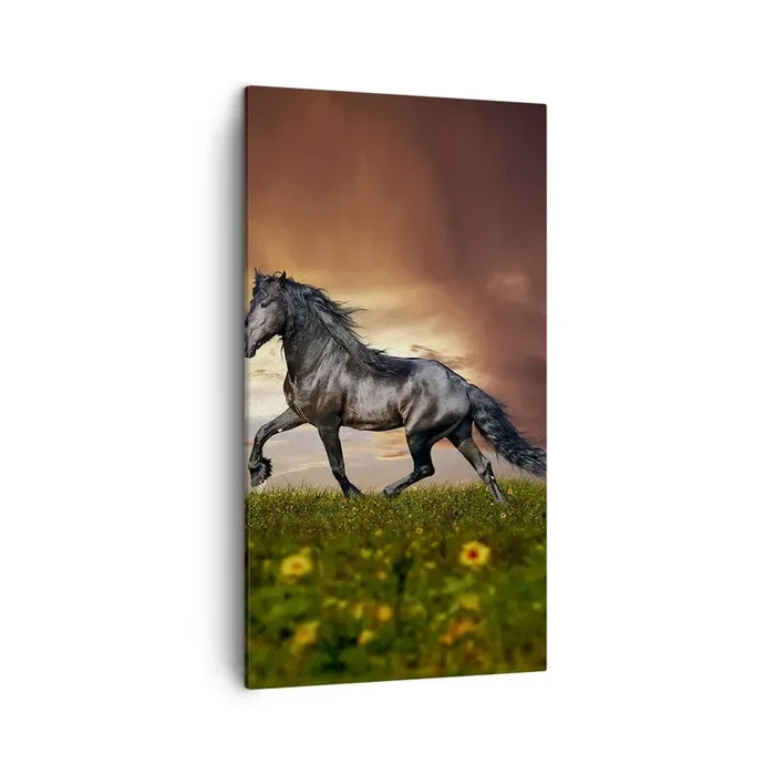 Cuadro sobre lienzo – Impresión de Imagen – Príncipe negro – 45×80 cm