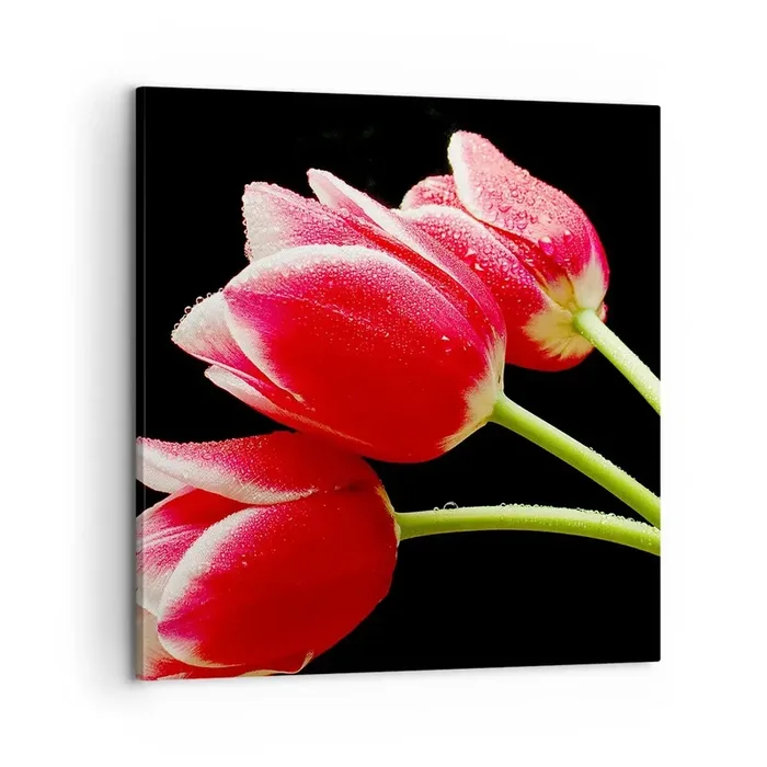Cuadro sobre lienzo – Impresión de Imagen – Promesa de amor puro – 60×60 cm