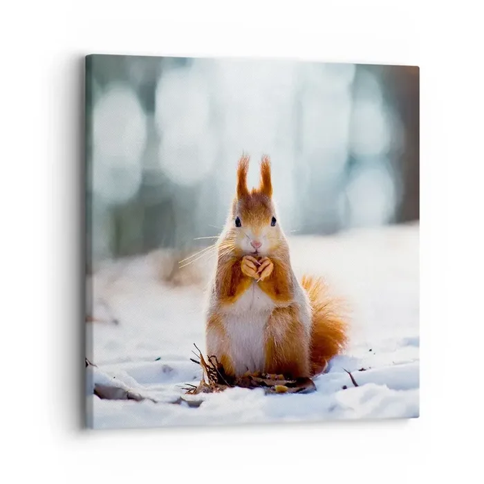 Cuadro sobre lienzo – Impresión de Imagen – ¿Qué estás mirando? – 30×30 cm