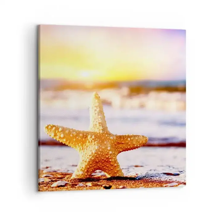 Cuadro sobre lienzo – Impresión de Imagen – Regalo del mar – 60×60 cm