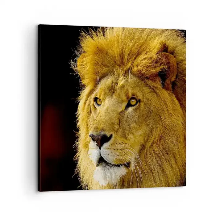 Cuadro sobre lienzo – Impresión de Imagen – Retrato de un rey – 50×50 cm