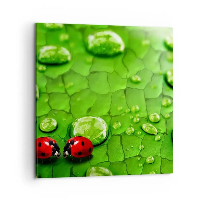 Cuadro sobre lienzo – Impresión de Imagen – Reunión sobre verde – 50×50 cm