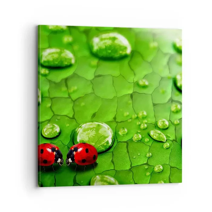 Cuadro sobre lienzo – Impresión de Imagen – Reunión sobre verde – 70×70 cm