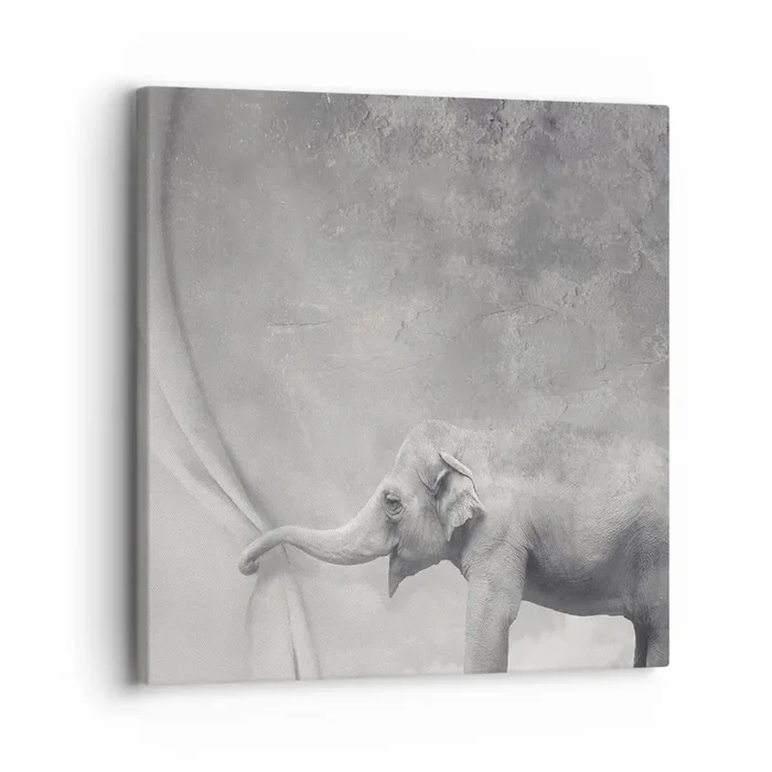 Cuadro sobre lienzo – Impresión de Imagen – Revelar el misterio – 30×30 cm