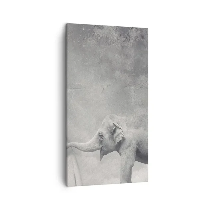 Cuadro sobre lienzo – Impresión de Imagen – Revelar el misterio – 45×80 cm