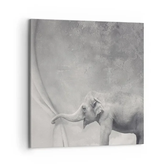 Cuadro sobre lienzo – Impresión de Imagen – Revelar el misterio – 60×60 cm