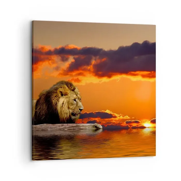 Cuadro sobre lienzo – Impresión de Imagen – Rey de la naturaleza – 50×50 cm