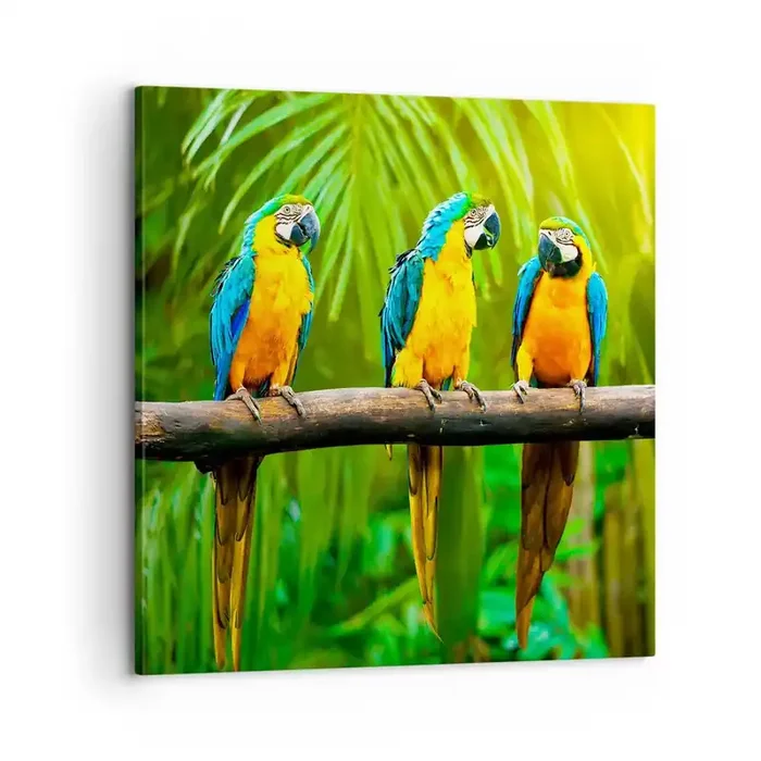 Cuadro sobre lienzo – Impresión de Imagen – ¿Y has oído que ella…? – 60×60 cm