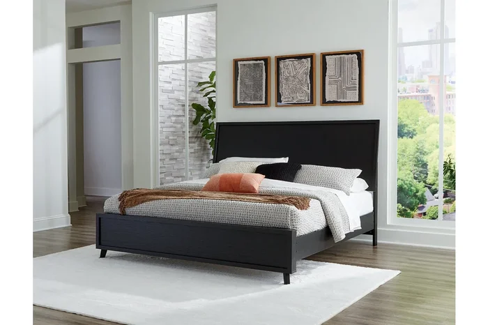 Danziar Black King Framed Platform Bed