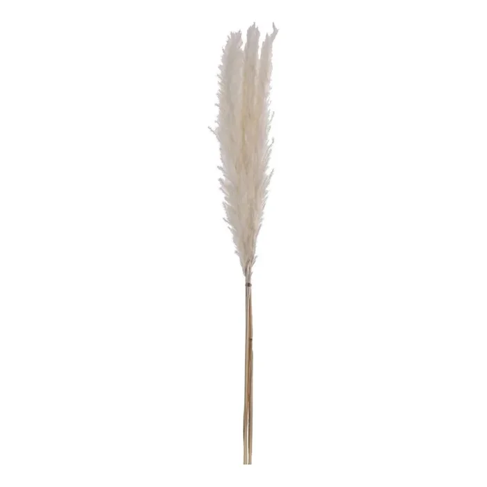 Eglo – Flor seca 70 cm blanco