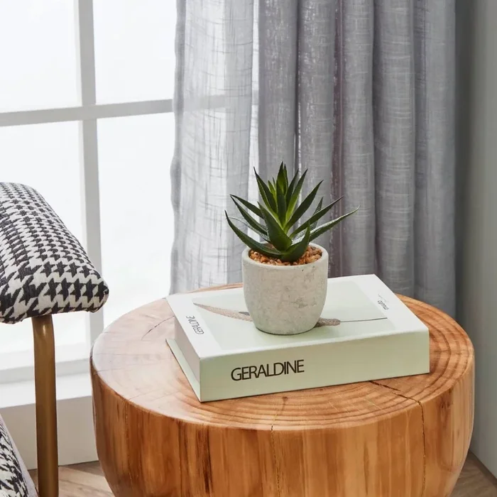 Eglo – Planta artificial en una maceta 15,5×10 cm suculento