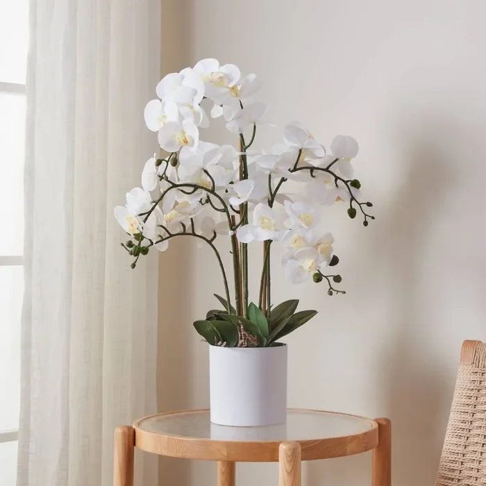 Eglo – Planta artificial en una maceta 65×50 cm orquídea