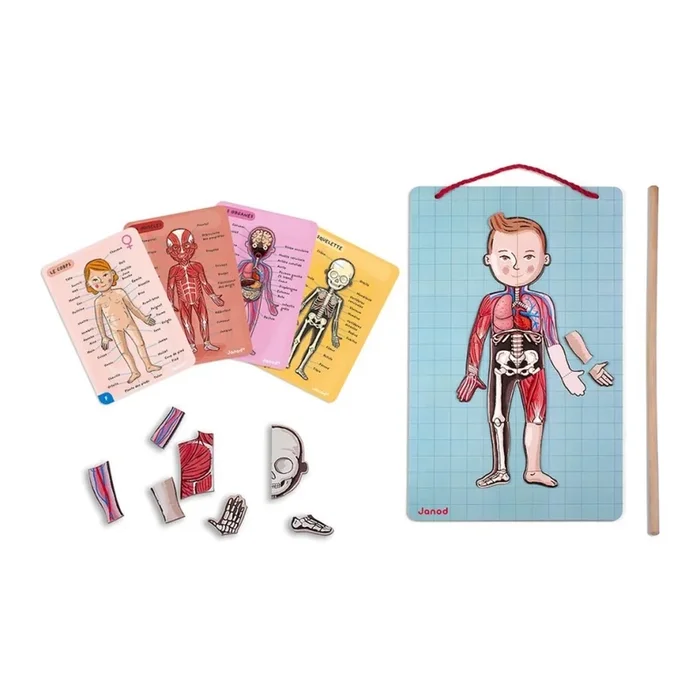 Janod – Puzzle magnético BODYMAGNET cuerpo humano