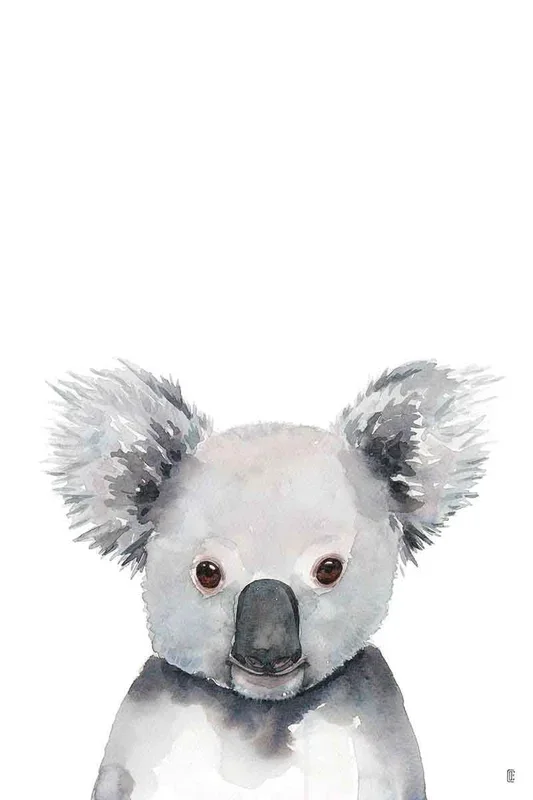 KOALA PORTRAIT 60×40 – Drimdeco