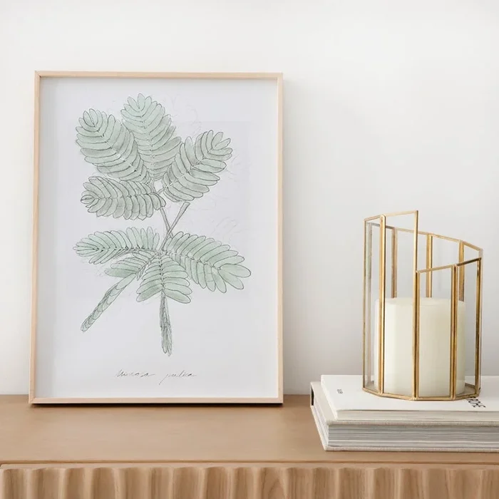 Lámina Mimosa Verde – Kenay Home