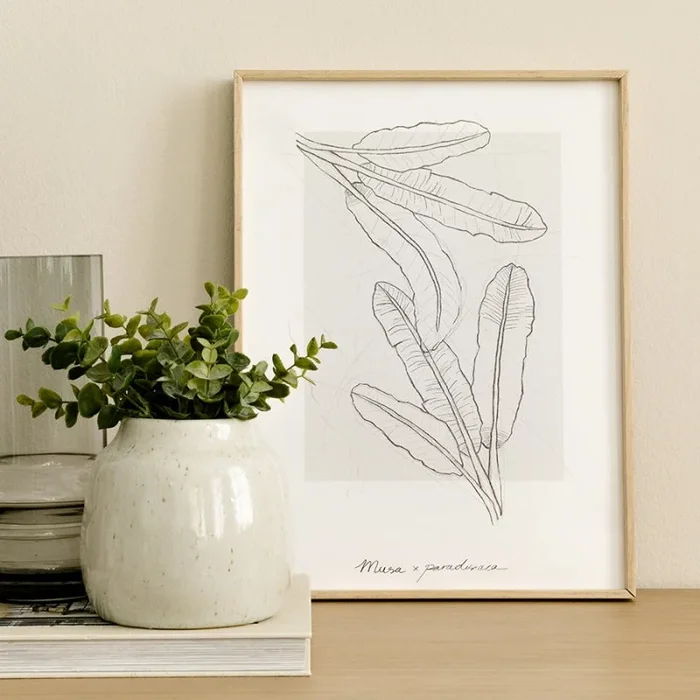 Lámina Musa Verde – Kenay Home