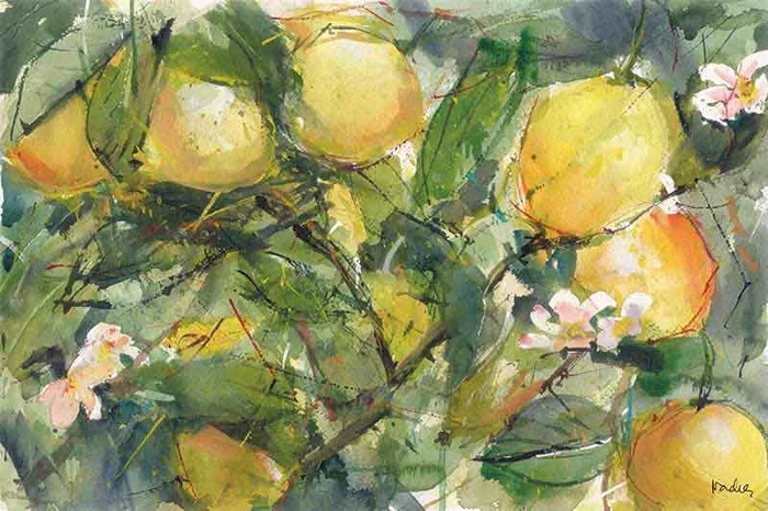 LIMONES 80×120 – Drimdeco
