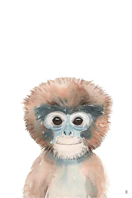 MONKEY PORTRAIT 120×80 – Drimdeco