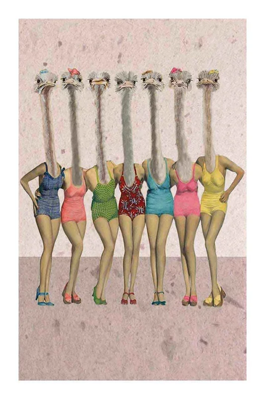 OSTRICH IN BATHINGSUITS 120×80 – Drimdeco