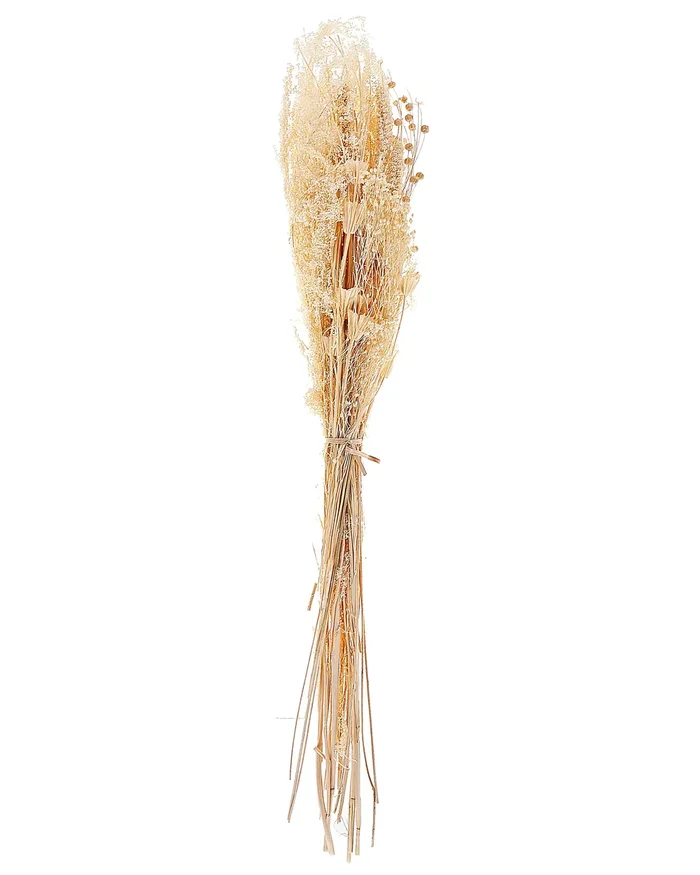 Ramo de flores secas BRUNETE 65 cm Natural