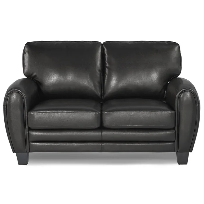 Rubin Black Faux Leather Loveseat