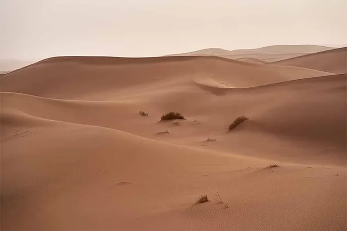 SAHARA I 60×90 – Drimdeco