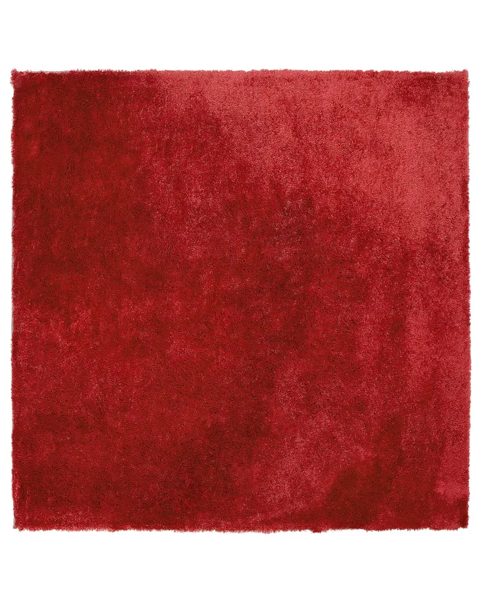 Shaggy Rug EVREN Red 200 x 200 cm